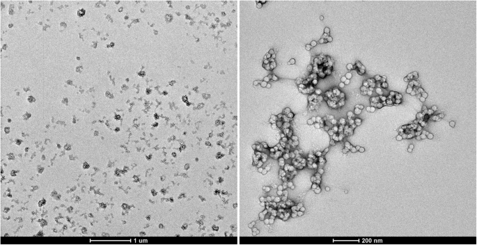 Efficient Chlorin e6 Uptake and Enhanced Energy Transfer in PS–PPO–PNIPAM Hybrid Nanoparticles
