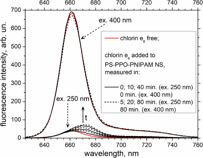 Efficient Chlorin e6 Uptake and Enhanced Energy Transfer in PS–PPO–PNIPAM Hybrid Nanoparticles