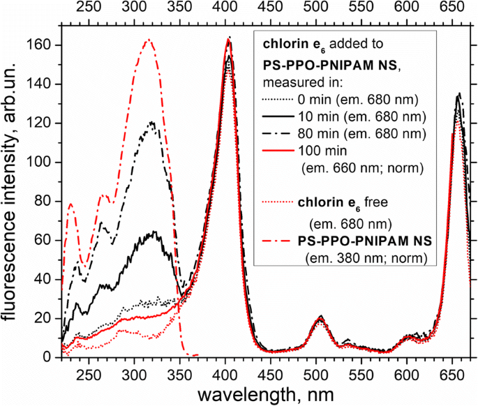 Efficient Chlorin e6 Uptake and Enhanced Energy Transfer in PS–PPO–PNIPAM Hybrid Nanoparticles
