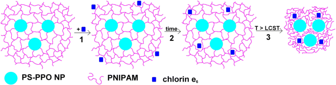 Efficient Chlorin e6 Uptake and Enhanced Energy Transfer in PS–PPO–PNIPAM Hybrid Nanoparticles