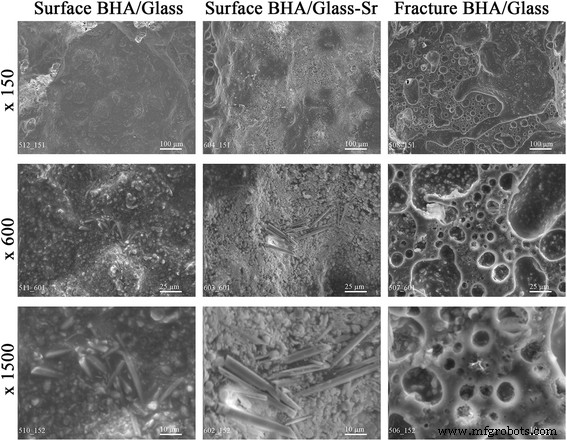 Strontium‑Doped Biogenic Hydroxyapatite/Glass‑Ceramic Composites: Synthesis, Structural Characterization, and Enhanced Bioactivity
