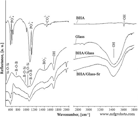 Strontium‑Doped Biogenic Hydroxyapatite/Glass‑Ceramic Composites: Synthesis, Structural Characterization, and Enhanced Bioactivity