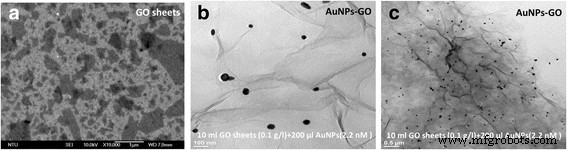 Ultra‑Sensitive, Label‑Free Immunoassay Using Gold Nanoparticle–Graphene Oxide Hybrid Plasmonic Biosensors