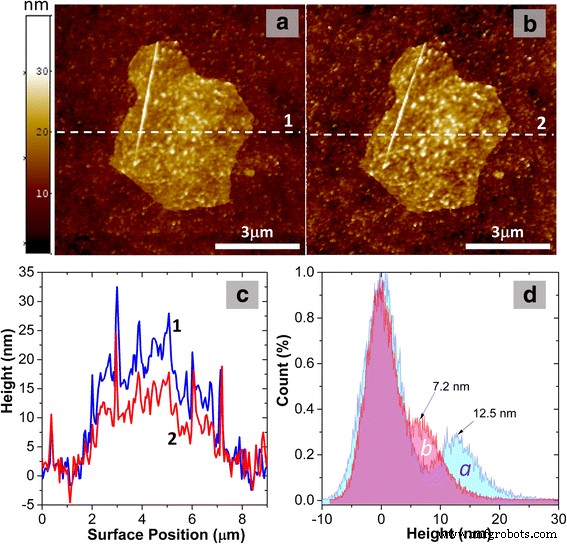 Low-Temperature Annealing of Graphene Oxide Films: Impact on Electrical Conductivity and Surface Potential via SKPFM