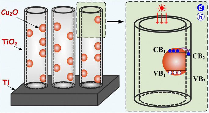 Efficient Fabrication of Cu₂O/TiO₂ Nanotube Heterojunctions for Enhanced Visible‑Light Photocatalysis