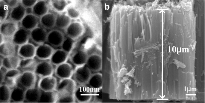 Efficient Fabrication of Cu₂O/TiO₂ Nanotube Heterojunctions for Enhanced Visible‑Light Photocatalysis
