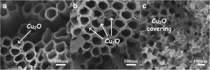 Efficient Fabrication of Cu₂O/TiO₂ Nanotube Heterojunctions for Enhanced Visible‑Light Photocatalysis