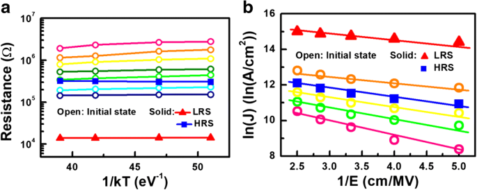 Stochastic Oxygen Vacancy Model Explains Variability in RRAM Cells