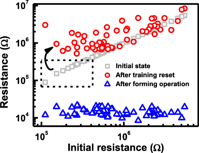 Stochastic Oxygen Vacancy Model Explains Variability in RRAM Cells