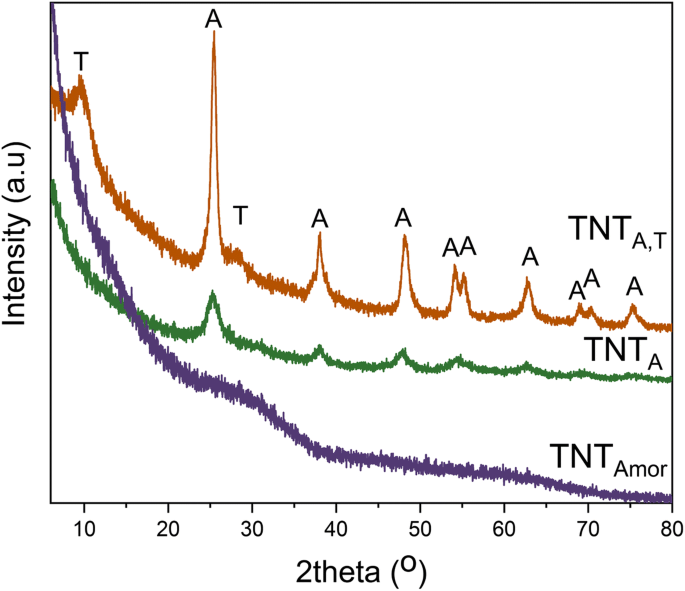 Impact of Morphology and Crystal Structure on Titania Nanotube Thermal Conductivity