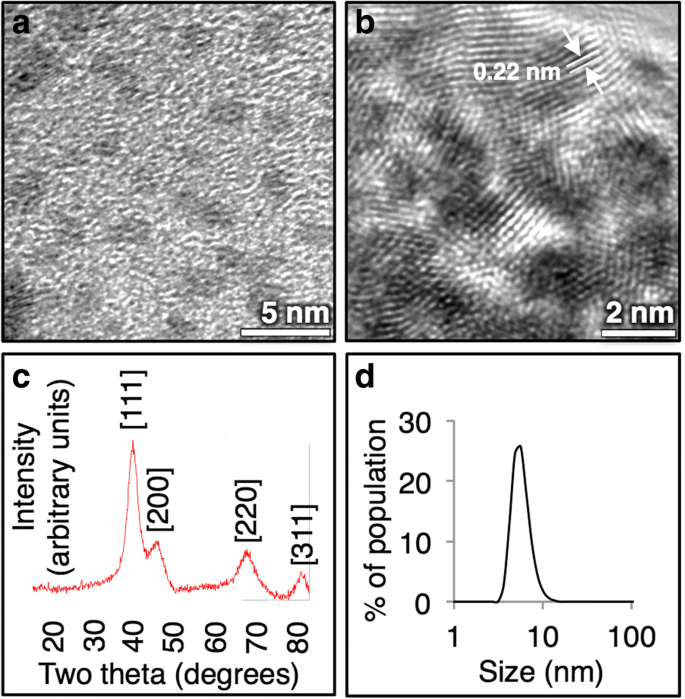Ligand‑Free Iridium Nanoparticles: A Simple Aqueous Synthesis and Demonstrated In‑Vitro Biocompatibility