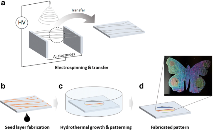 Engineering Angle‑Dependent Structural Color Patterns with Aligned ZnO Nanofibers
