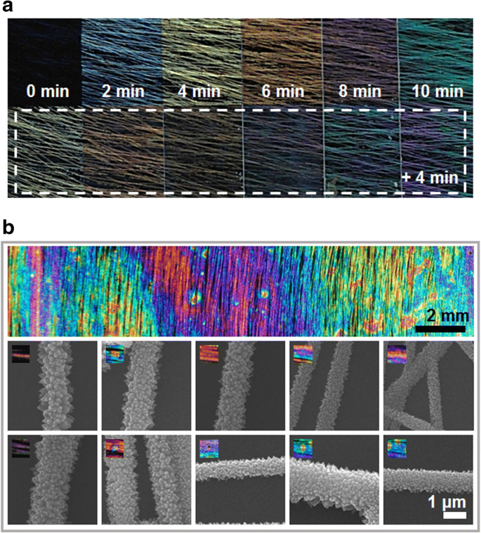 Engineering Angle‑Dependent Structural Color Patterns with Aligned ZnO Nanofibers
