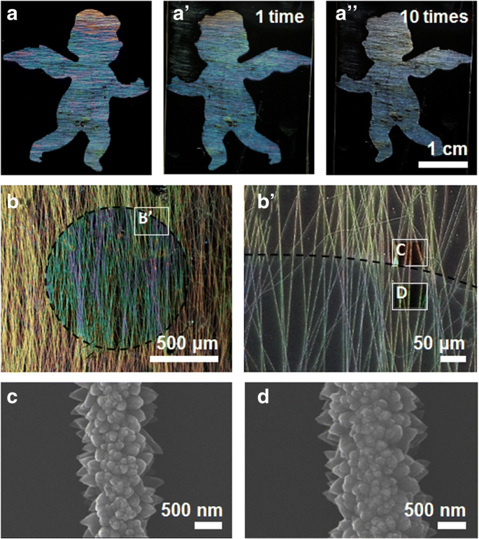 Engineering Angle‑Dependent Structural Color Patterns with Aligned ZnO Nanofibers