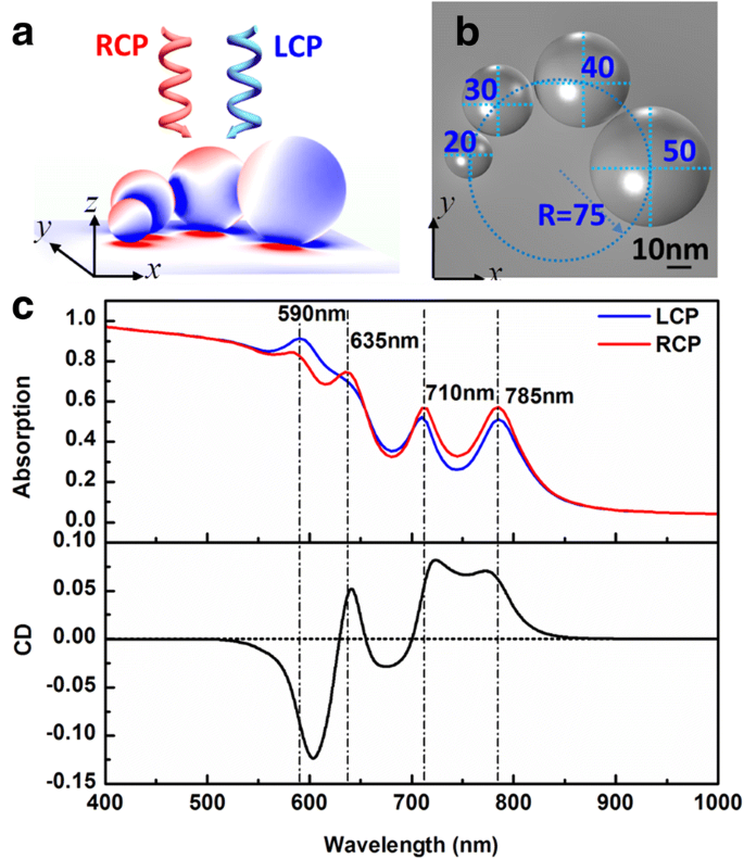 Enhanced Electromagnetic Energy Concentration in Coupled Chiral Particle Chains on Gold Film