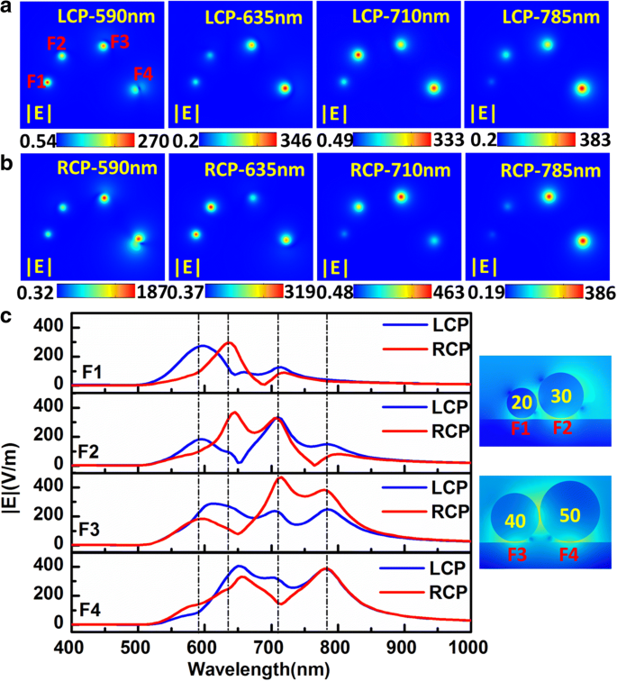 Enhanced Electromagnetic Energy Concentration in Coupled Chiral Particle Chains on Gold Film
