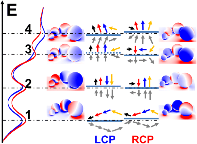 Enhanced Electromagnetic Energy Concentration in Coupled Chiral Particle Chains on Gold Film