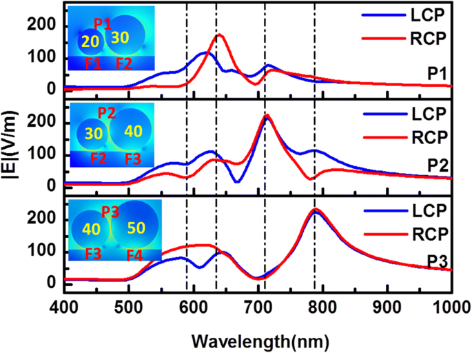 Enhanced Electromagnetic Energy Concentration in Coupled Chiral Particle Chains on Gold Film
