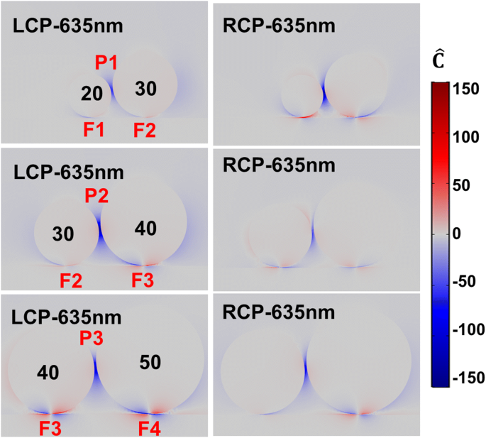 Enhanced Electromagnetic Energy Concentration in Coupled Chiral Particle Chains on Gold Film