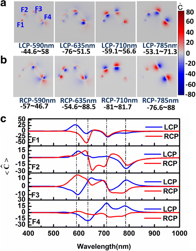 Enhanced Electromagnetic Energy Concentration in Coupled Chiral Particle Chains on Gold Film
