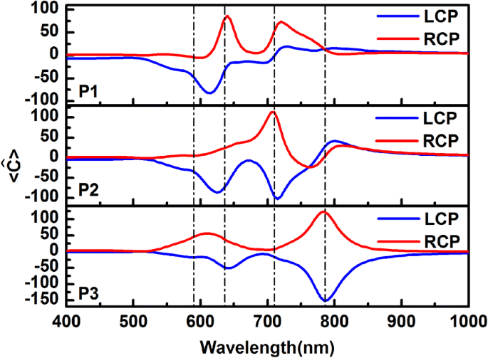 Enhanced Electromagnetic Energy Concentration in Coupled Chiral Particle Chains on Gold Film