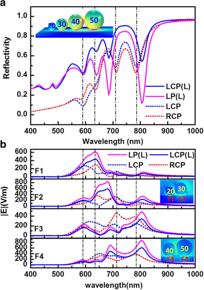 Enhanced Electromagnetic Energy Concentration in Coupled Chiral Particle Chains on Gold Film