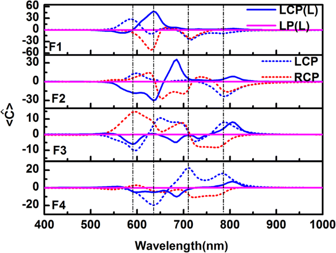 Enhanced Electromagnetic Energy Concentration in Coupled Chiral Particle Chains on Gold Film