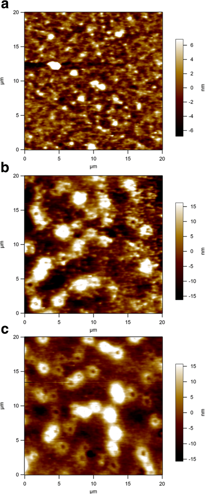 In Situ Formation of CdS and Sb₂S₃ Nanocrystals within P3HT:PC₆₁BM Enhances Photocurrent in Inverted Hybrid Solar Cells