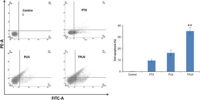 Targeted Lipid Nanoparticles Functionalized with Transferrin Enhance Paclitaxel Efficacy in Leukemia Cells