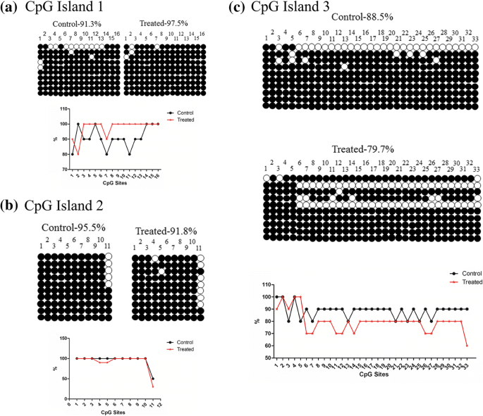 Silica Nanoparticle Impact on Gene Expression and DNA Methylation in Lung and Testis Tissues