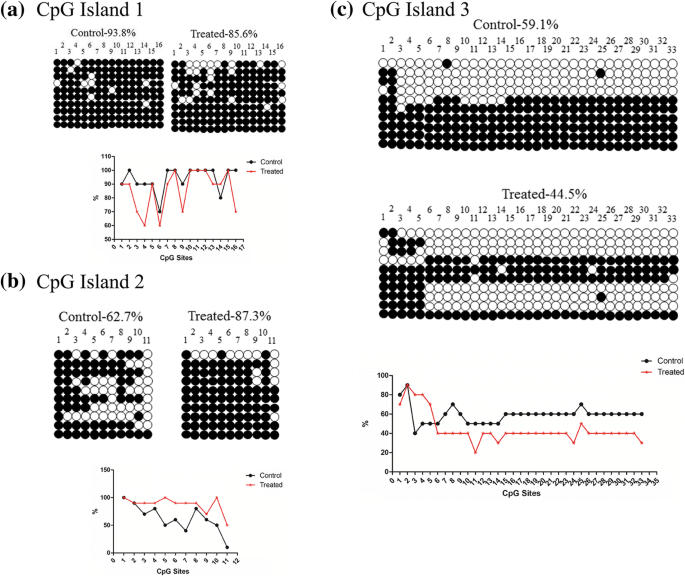 Silica Nanoparticle Impact on Gene Expression and DNA Methylation in Lung and Testis Tissues