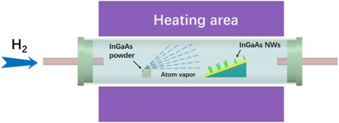 Understanding the Formation of Au-Catalyzed InGaAs Nanowires via Solid-Source Two-Step CVD