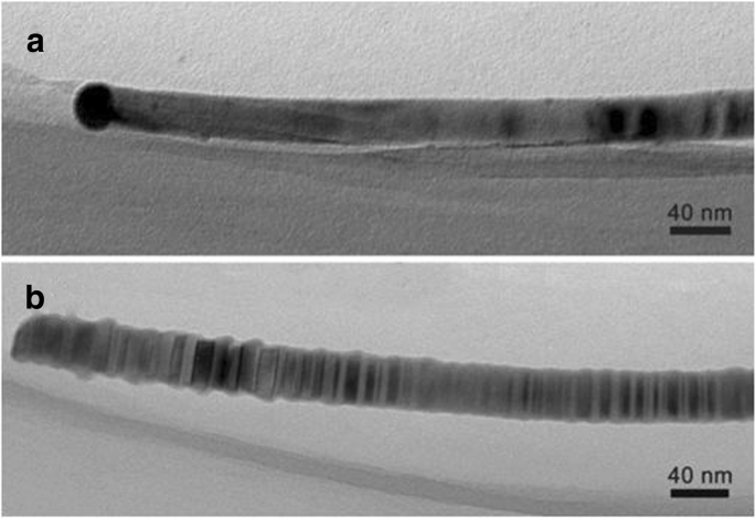 Understanding the Formation of Au-Catalyzed InGaAs Nanowires via Solid-Source Two-Step CVD