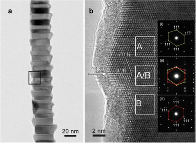 Understanding the Formation of Au-Catalyzed InGaAs Nanowires via Solid-Source Two-Step CVD