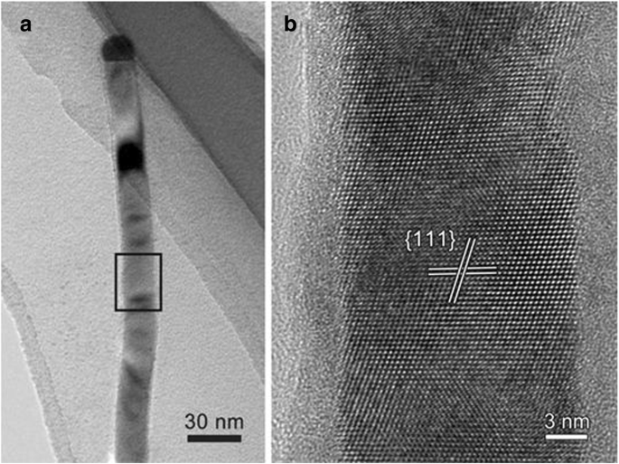 Understanding the Formation of Au-Catalyzed InGaAs Nanowires via Solid-Source Two-Step CVD