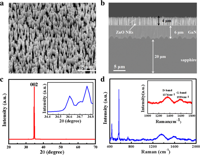 Ultra‑Sensitive UV Photodetector Using Graphene Quantum Dot‑Decorated ZnO Nanorods on GaN Isotype Heterojunctions