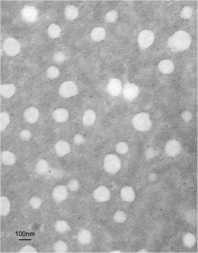 PEG‑PCCL Nanoparticles: Low‑Toxicity, Sustained Paclitaxel Delivery and Enhanced Anti‑Tumor Efficacy in Hepatocarcinoma Models