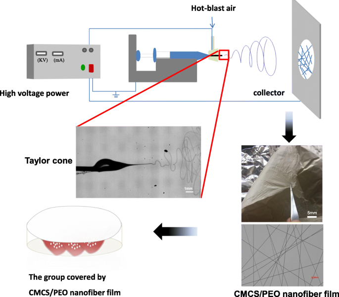 Advanced CMCS/PEO Nanofiber Membranes via Electrospinning for Enhanced Fruit Freshness Preservation