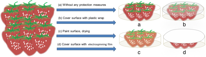 Advanced CMCS/PEO Nanofiber Membranes via Electrospinning for Enhanced Fruit Freshness Preservation