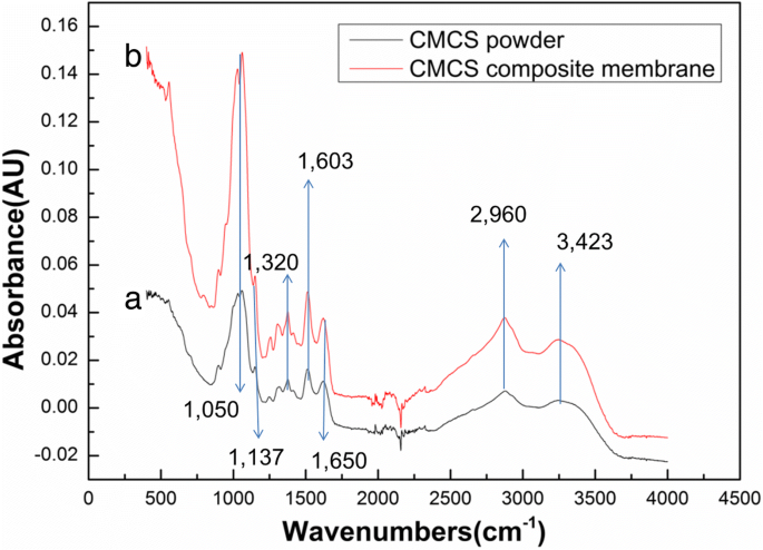 Advanced CMCS/PEO Nanofiber Membranes via Electrospinning for Enhanced Fruit Freshness Preservation