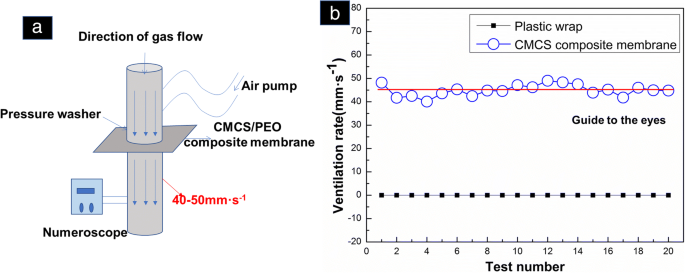 Advanced CMCS/PEO Nanofiber Membranes via Electrospinning for Enhanced Fruit Freshness Preservation