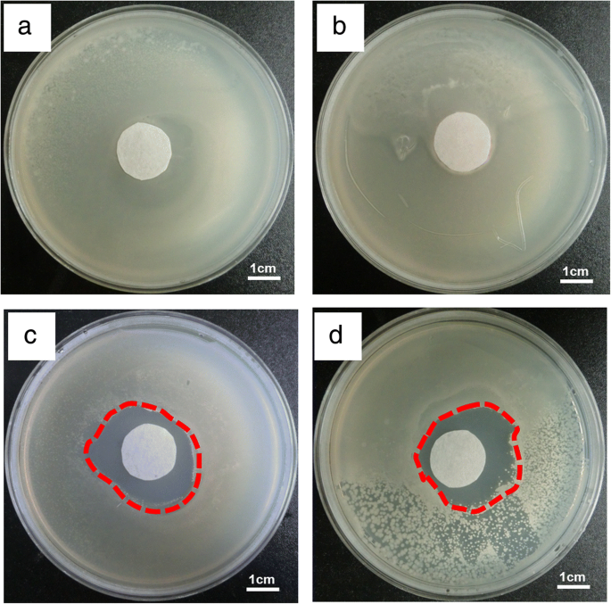 Advanced CMCS/PEO Nanofiber Membranes via Electrospinning for Enhanced Fruit Freshness Preservation