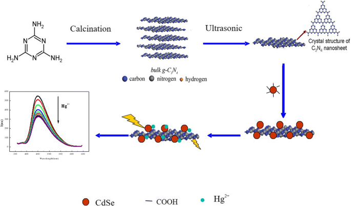 Highly Sensitive and Selective Hg²⁺ Detection via FRET between CdSe Quantum Dots and g‑C₃N₄ Nanosheets