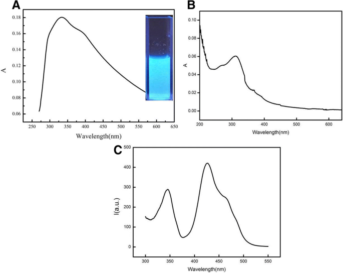 Highly Sensitive and Selective Hg²⁺ Detection via FRET between CdSe Quantum Dots and g‑C₃N₄ Nanosheets