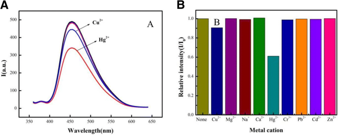 Highly Sensitive and Selective Hg²⁺ Detection via FRET between CdSe Quantum Dots and g‑C₃N₄ Nanosheets