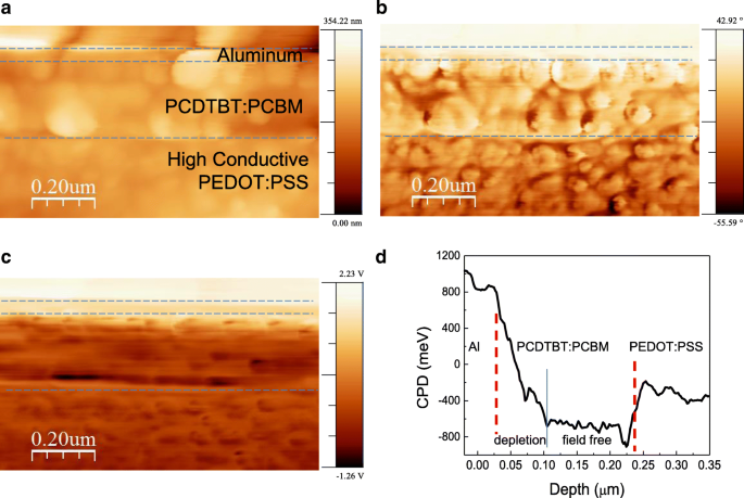 Cross‑Sectional KPFM Reveals Potential Dip and Schottky Barrier in Thick PCDTBT:PCBM Bulk Heterojunction Solar Cells