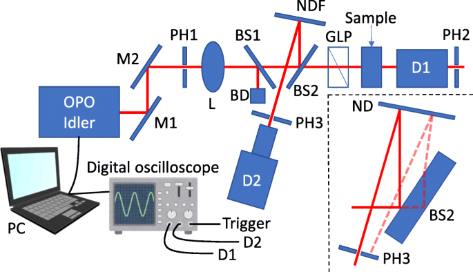 Boosting Metasurface Polarizer Performance: Numerical Study of Degradation and Optimization