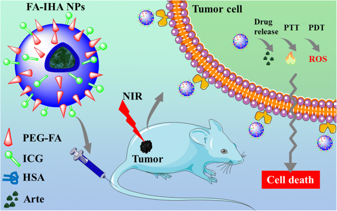 High‑Efficiency Tumor‑Targeted Photo‑Chemo Theranostic Nanoparticles: Artesunate‑Loaded, ICG‑Conjugated Human Serum Albumin