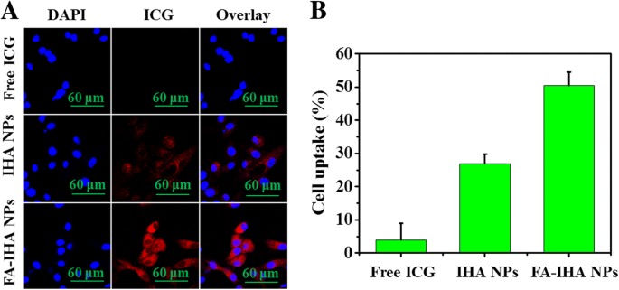 High‑Efficiency Tumor‑Targeted Photo‑Chemo Theranostic Nanoparticles: Artesunate‑Loaded, ICG‑Conjugated Human Serum Albumin