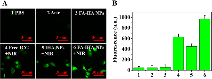 High‑Efficiency Tumor‑Targeted Photo‑Chemo Theranostic Nanoparticles: Artesunate‑Loaded, ICG‑Conjugated Human Serum Albumin